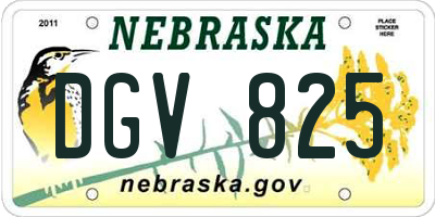 NE license plate DGV825