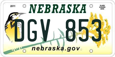 NE license plate DGV853