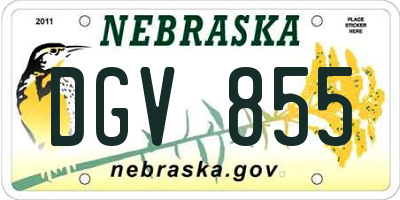 NE license plate DGV855