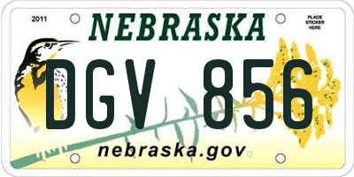 NE license plate DGV856