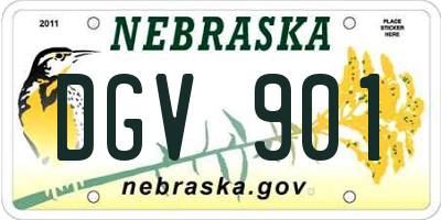 NE license plate DGV901