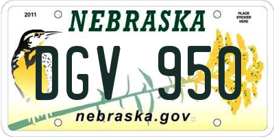 NE license plate DGV950