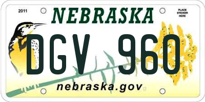NE license plate DGV960