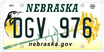 NE license plate DGV976