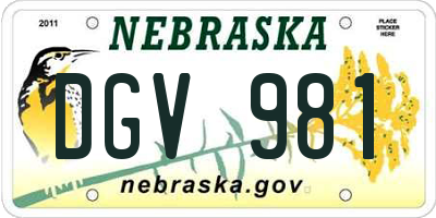NE license plate DGV981
