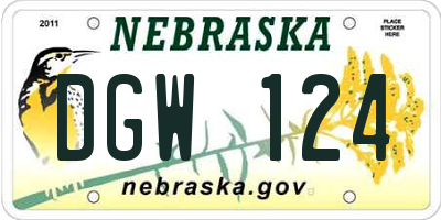 NE license plate DGW124