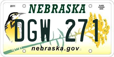 NE license plate DGW271