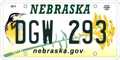 NE license plate DGW293