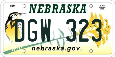 NE license plate DGW323