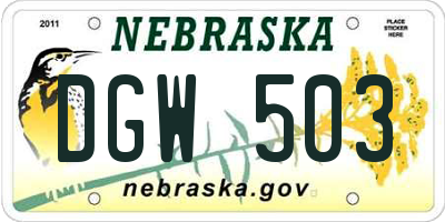 NE license plate DGW503