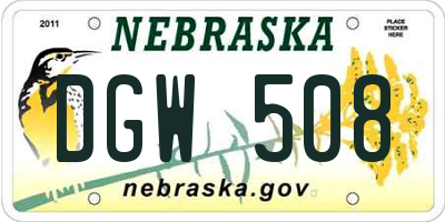 NE license plate DGW508