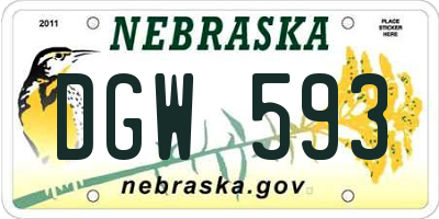 NE license plate DGW593
