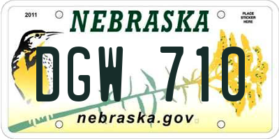 NE license plate DGW710