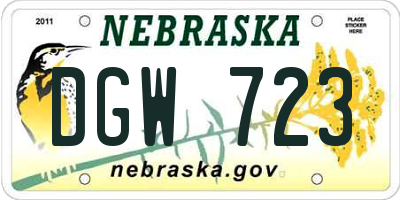 NE license plate DGW723