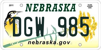 NE license plate DGW985