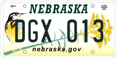 NE license plate DGX013