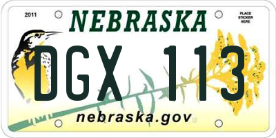 NE license plate DGX113