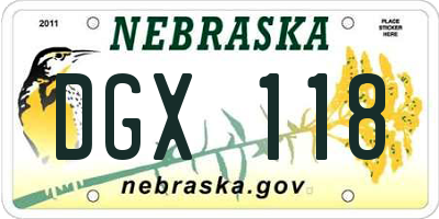 NE license plate DGX118