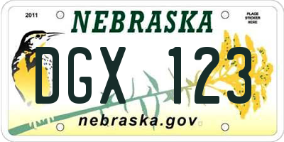 NE license plate DGX123