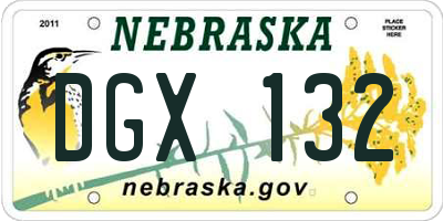 NE license plate DGX132