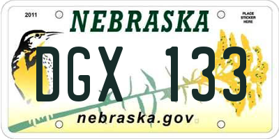 NE license plate DGX133