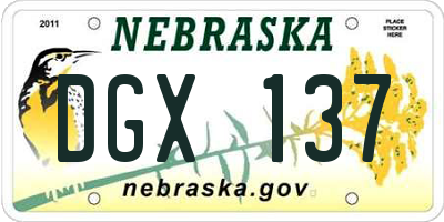 NE license plate DGX137