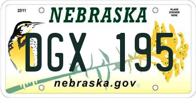 NE license plate DGX195