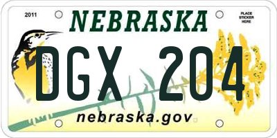 NE license plate DGX204