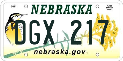 NE license plate DGX217