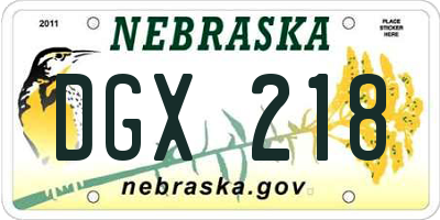 NE license plate DGX218