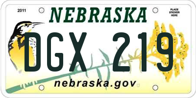 NE license plate DGX219
