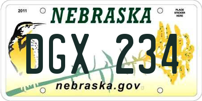 NE license plate DGX234