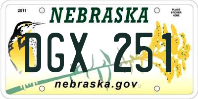 NE license plate DGX251