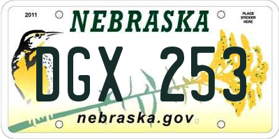 NE license plate DGX253