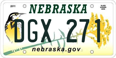 NE license plate DGX271