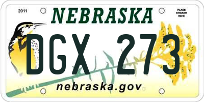 NE license plate DGX273