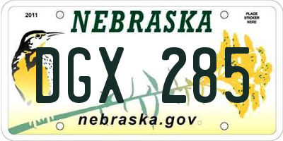 NE license plate DGX285