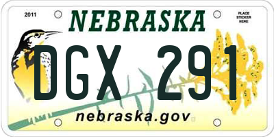 NE license plate DGX291