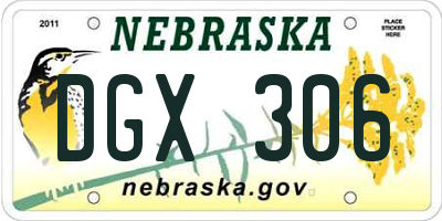 NE license plate DGX306