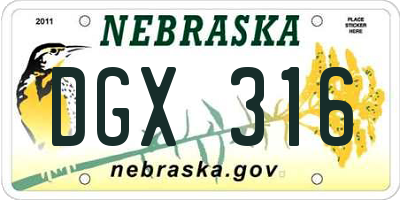 NE license plate DGX316