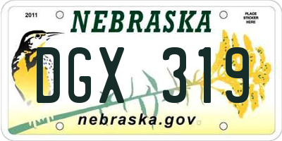 NE license plate DGX319