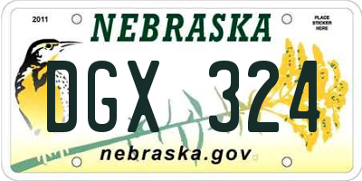 NE license plate DGX324