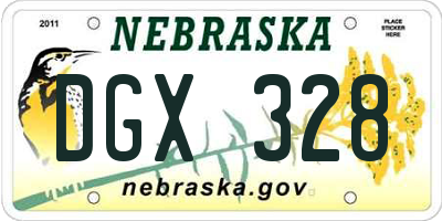 NE license plate DGX328