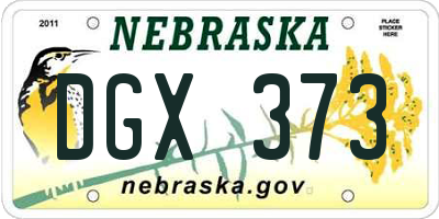 NE license plate DGX373