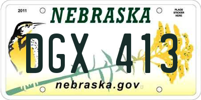 NE license plate DGX413