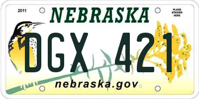 NE license plate DGX421