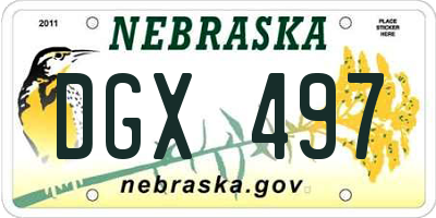 NE license plate DGX497
