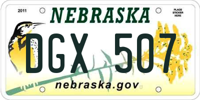 NE license plate DGX507