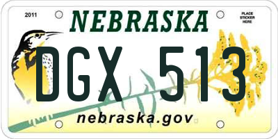 NE license plate DGX513