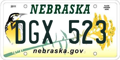 NE license plate DGX523